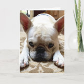 ごめんなさい。 カード (正面)