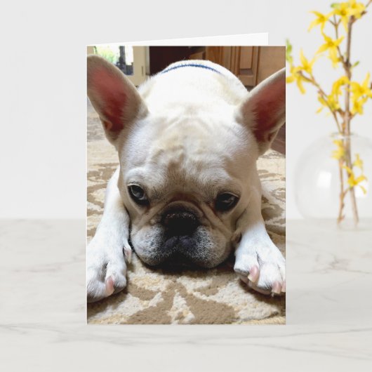 ごめんなさい。 カード (黄色い花)