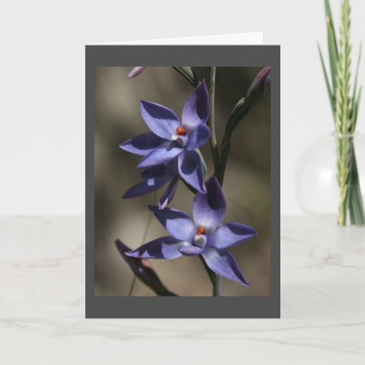 ごめんなさい、心からお悔やみ申し上げます カード (正面)