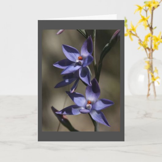 ごめんなさい、心からお悔やみ申し上げます カード (黄色い花)