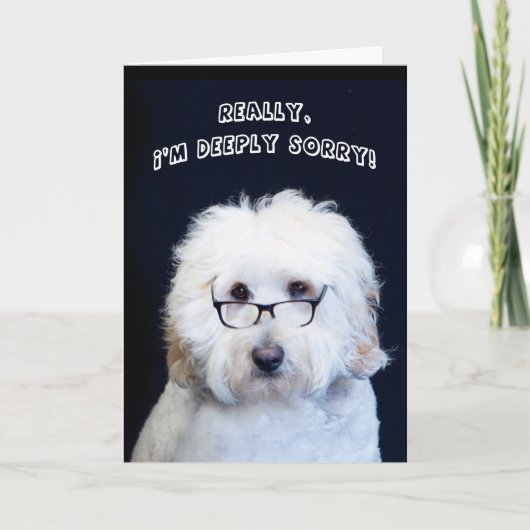 ごめんなさい – 犬/黒縁眼鏡付きのユーモア カード (正面)
