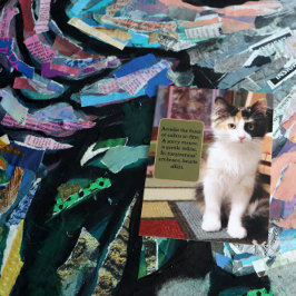 ごめんねカリコ子猫 ポストカード