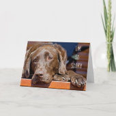 ごめんねラブラドールリトリバー遅誕生日 カード (正面)