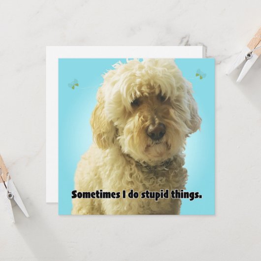 ごめんね時々バカなことするから カード (正面/裏面インサイチュ)