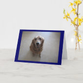 ごめんね！ カード (黄色い花)