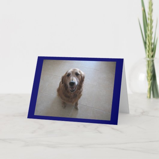 ごめんね！ カード (正面)