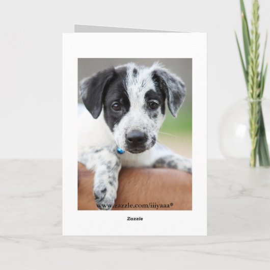 ごめんね カード (裏面)