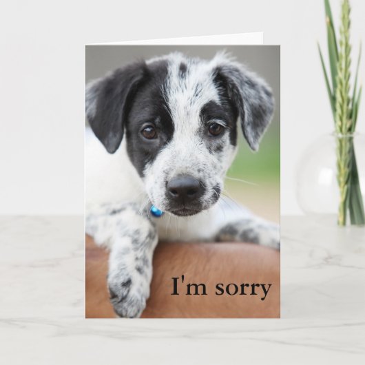 ごめんね カード (正面)