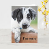 ごめんね カード (黄色い花)