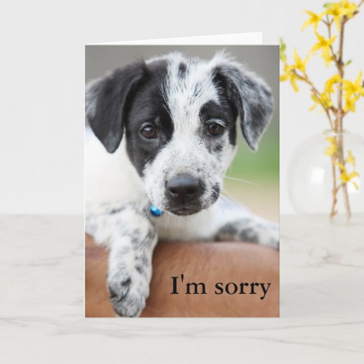 ごめんね カード (黄色い花)