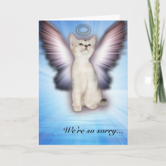 ごめんね – Cat悔やみや弔慰- Group カード (正面)