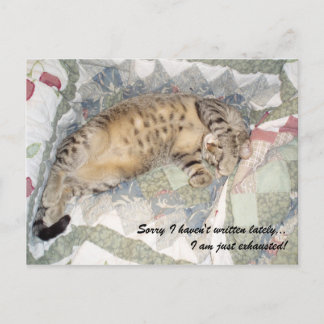 ごめん書最近。.. ポストカード