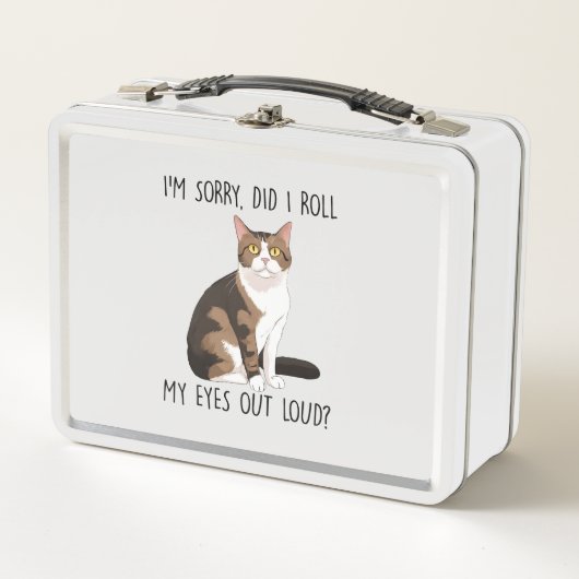 ごめん目転がが大きい? メタルランチボックス (正面)