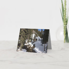 ご主賛美様 カード