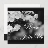 ご参加ください 招待状 (正面/裏面)