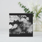 ご参加ください 招待状 (スタンド正面)