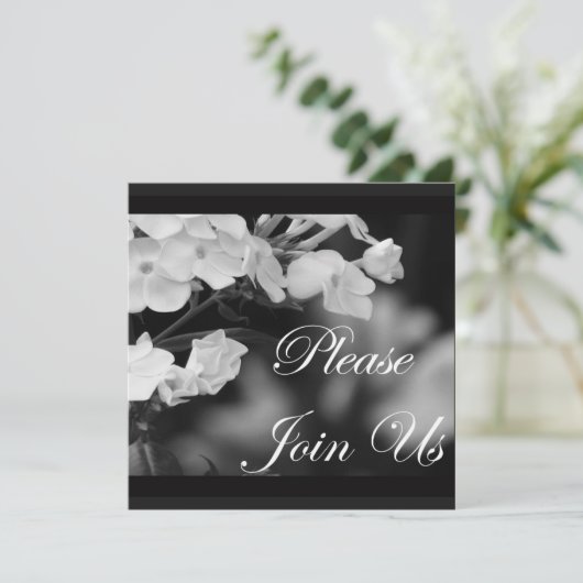 ご参加ください 招待状 (スタンド正面)