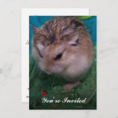 ご招待します 招待状 (正面/裏面)