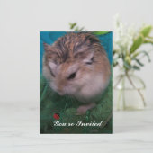 ご招待します 招待状 (スタンド正面)