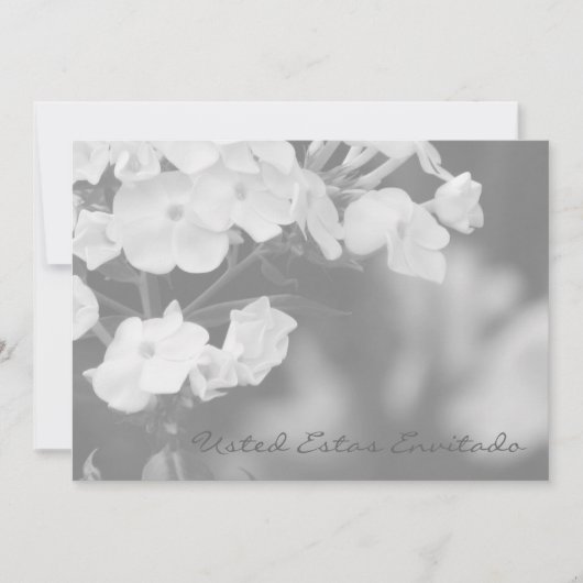 ご招待です (正面)