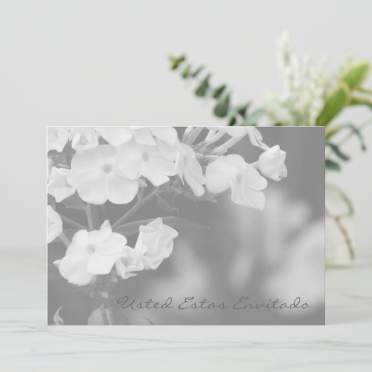 ご招待です (スタンド正面)