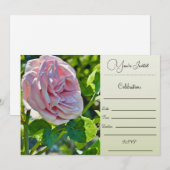 ご招待状 - 一輪のバラ 招待状 (正面/裏面)
