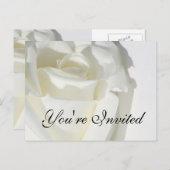 ご招待状 白いバラの招待カード インビテーションポストカード (正面/裏面)