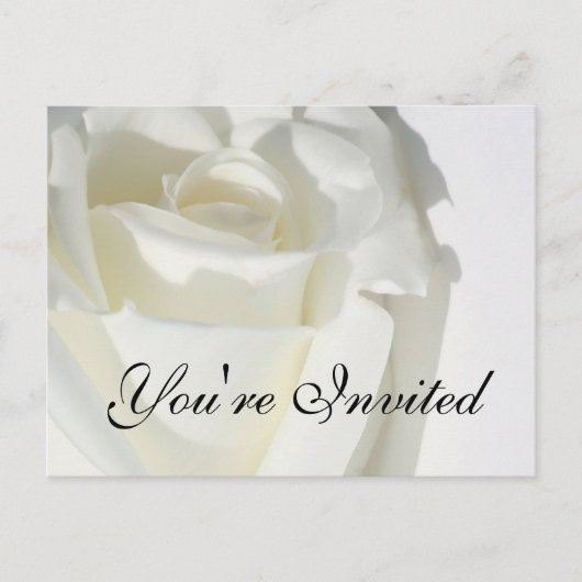 ご招待状 白いバラの招待カード インビテーションポストカード (正面)
