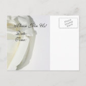 ご招待 招待状 ポストカード 白いローズ (裏面)