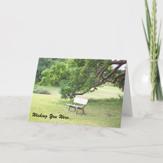 ご挨拶状 カード (正面)