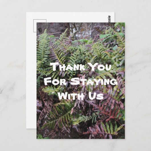 ご滞在ありがとう レンタルハウス  Ferns 森林小屋 ゲスト ポストカード (正面/裏面)