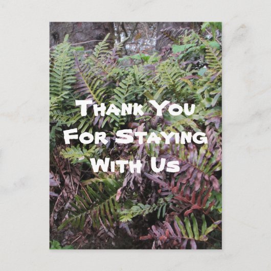 ご滞在ありがとう レンタルハウス  Ferns 森林小屋 ゲスト ポストカード (正面)
