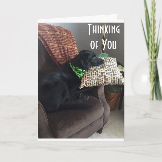 ご病気のお見舞感じい カード (正面)