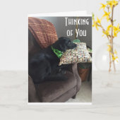 ご病気のお見舞感じい カード (黄色い花)