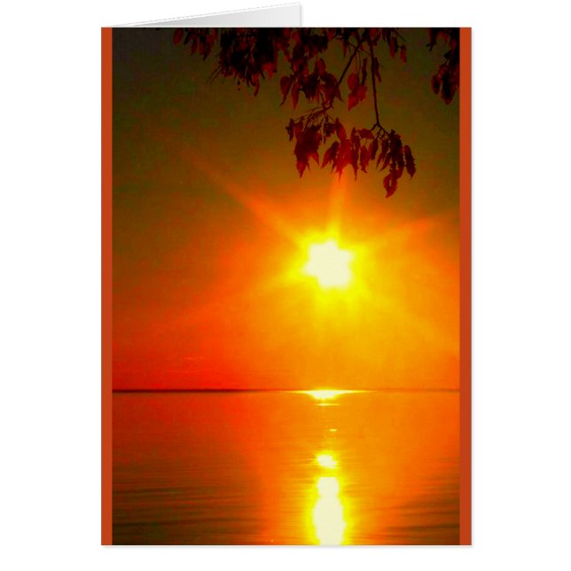 ご確認のカードに光が差し込めば (正面)