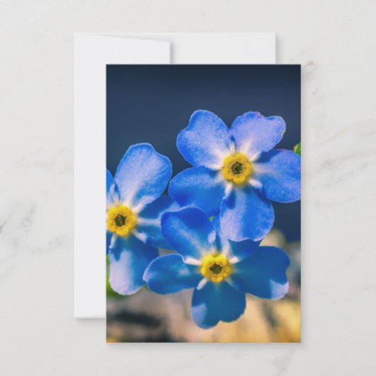 ご親切サンキューカード サンキューカード (正面)