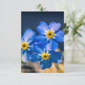 ご親切サンキューカード サンキューカード (スタンド正面)