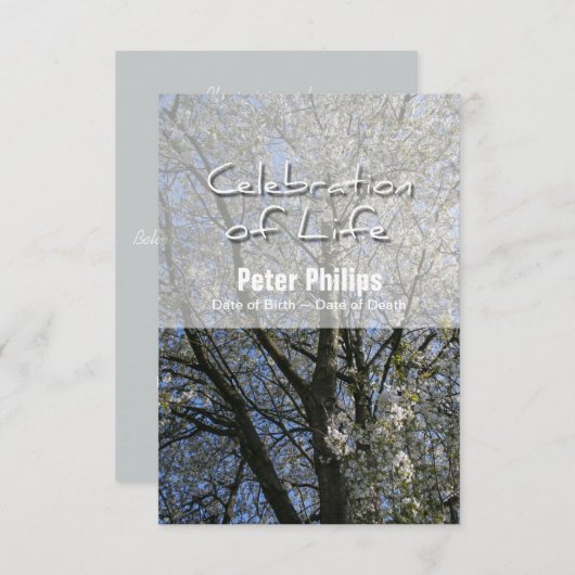 さくらんぼお祝いオブライフ招待状 招待状 (正面/裏面)