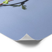 さくらんぼが咲く ポスター (角)