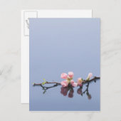 さくらんぼが咲く ポストカード (正面/裏面)