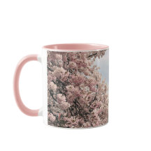 さくらんぼが干潟で咲く