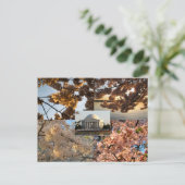 さくらんぼがDC干潟で咲く ポストカード (スタンド正面)