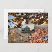 さくらんぼがDC干潟で咲く ポストカード (正面/裏面)