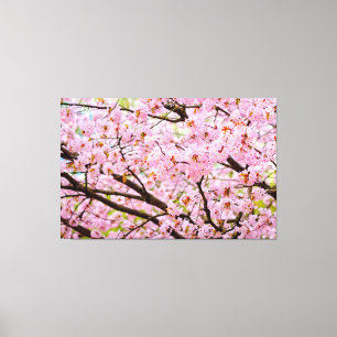 さくらんぼのピンクの泡が桜の木々に広がる キャンバスプリント