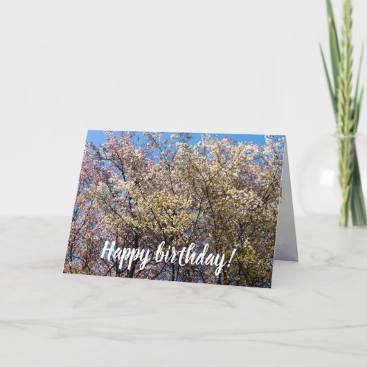 さくらんぼの暖かい日にフル開花の春木 カード (正面)
