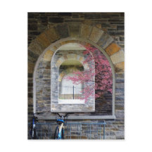 さくらんぼの木がアーチを抜ける