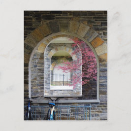さくらんぼの木がアーチを抜ける ポストカード