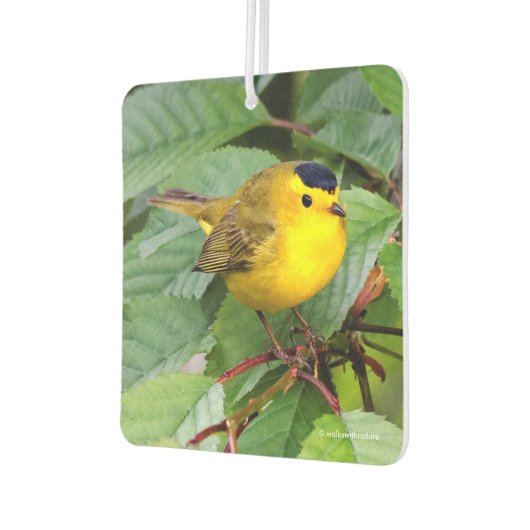 さくらんぼの木の美しいウィルソンの反り カーエアーフレッシュナー (左)