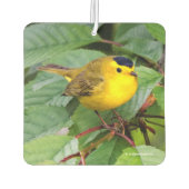 さくらんぼの木の美しいウィルソンの反り カーエアーフレッシュナー (裏面)