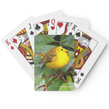 さくらんぼの木の美しいウィルソンの反り